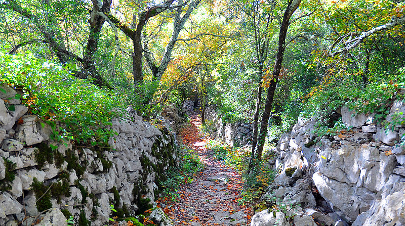 gard-mer de rochers de sauve