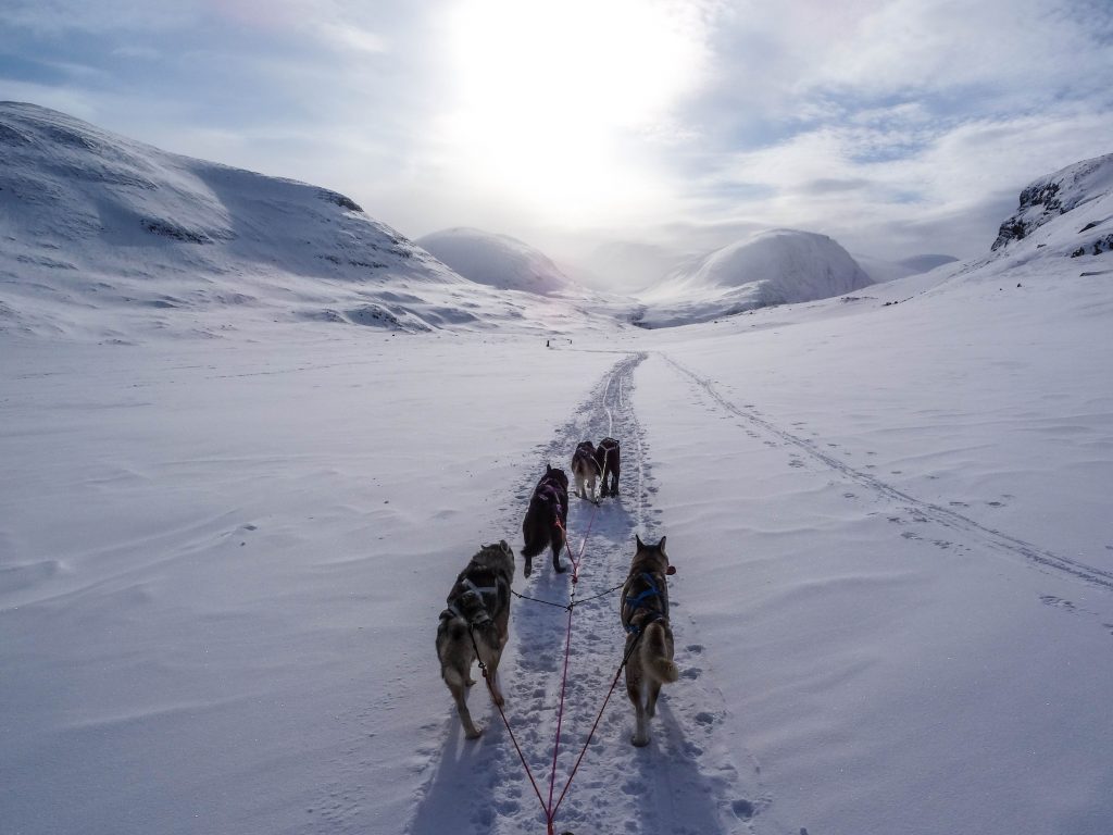 Partir en Laponie à Noël