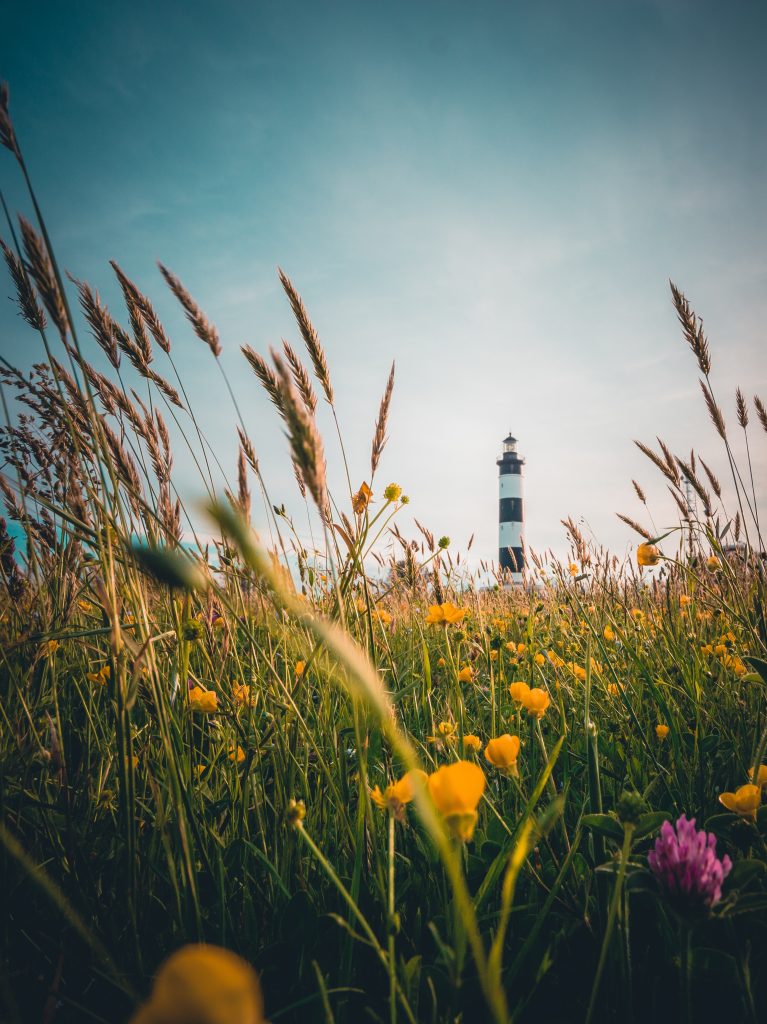 Le phare de l'île d'Oléron