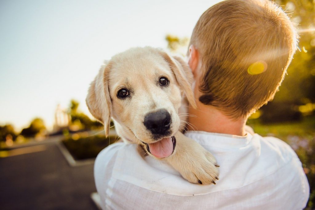 enfant qui tient un chiot dans ses bras