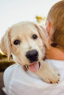 enfant qui tient un chiot dans ses bras