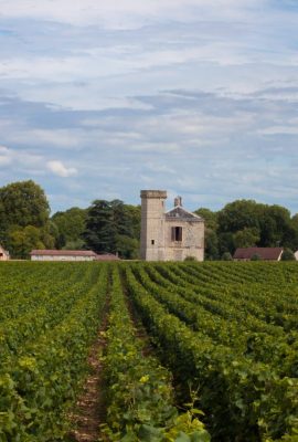 Tourisme vignobles